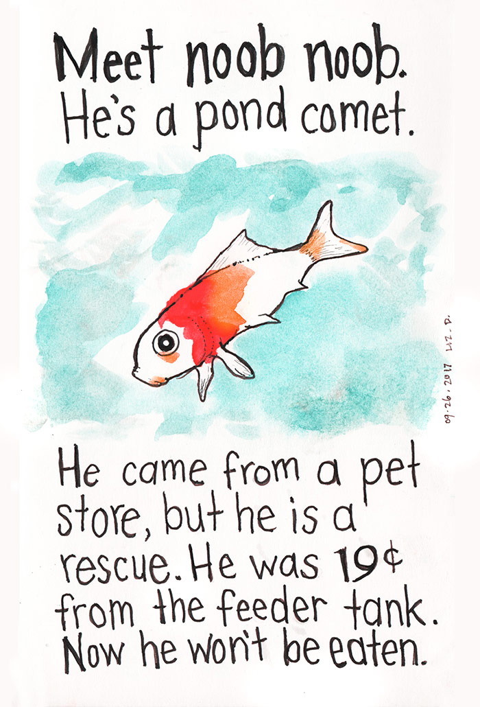 watercolor painting of a goldfish