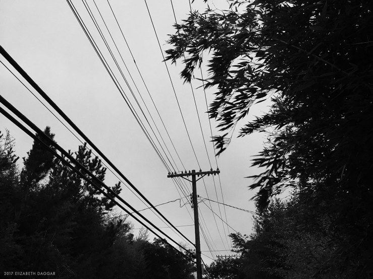 Wires on a barrier island