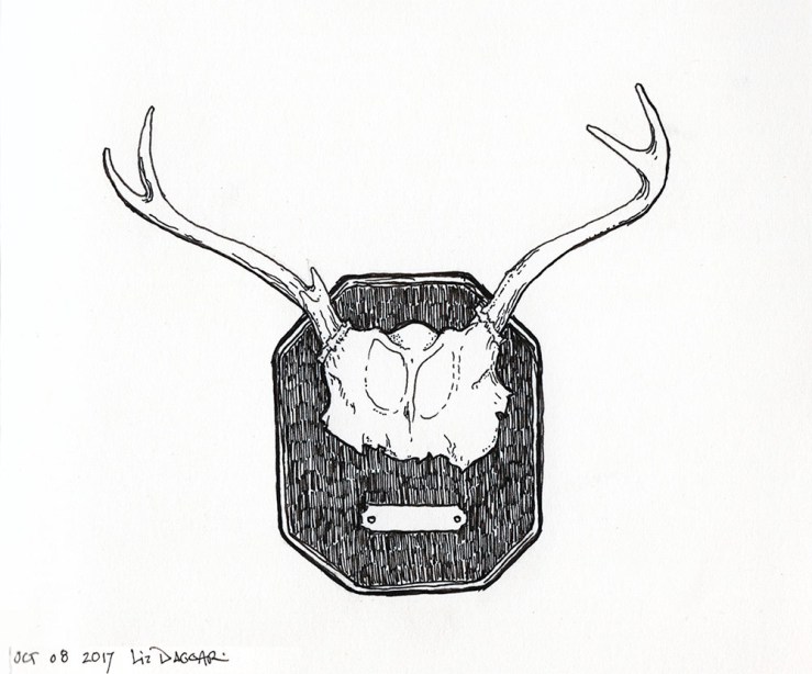 rack of deer antlers (ink drawing)
