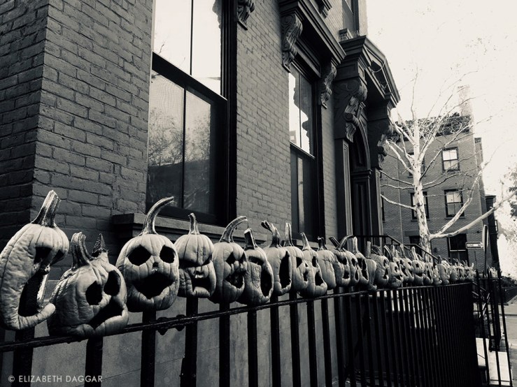 jack o lanterns on an iron fence