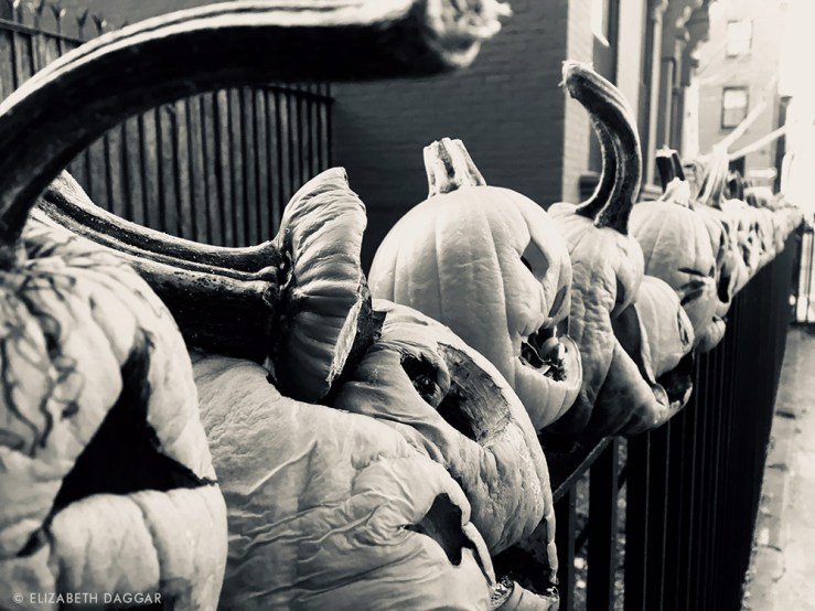jack o lanterns on an iron fence