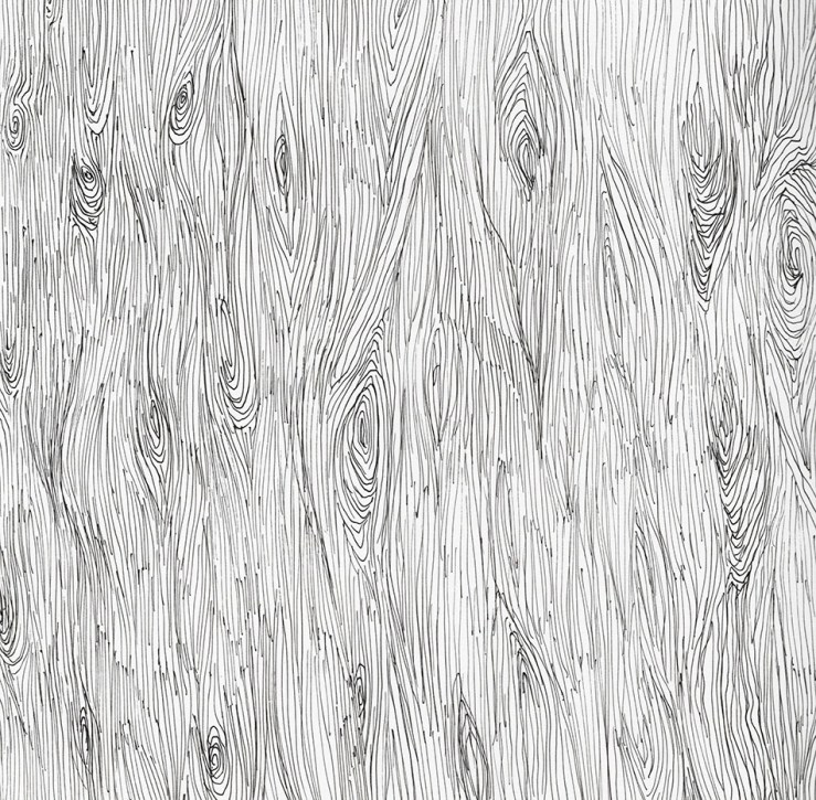 ink drawing of woodgrain by E Daggar