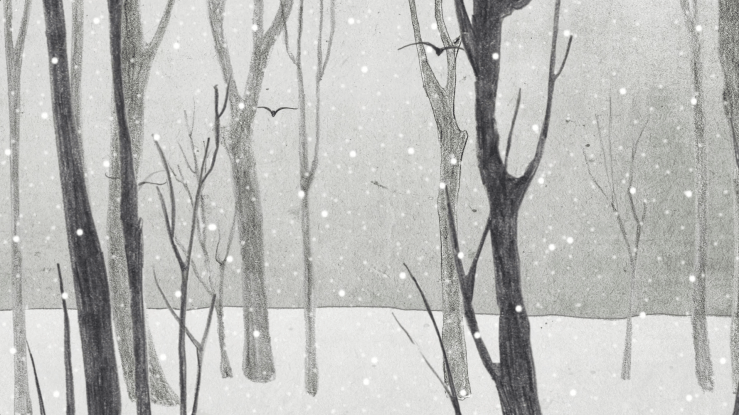 pencil drawing of a forest