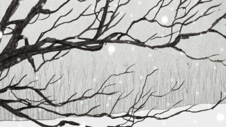 pencil snowscape with oak tree