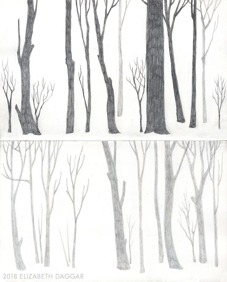 pencil drawings of trees