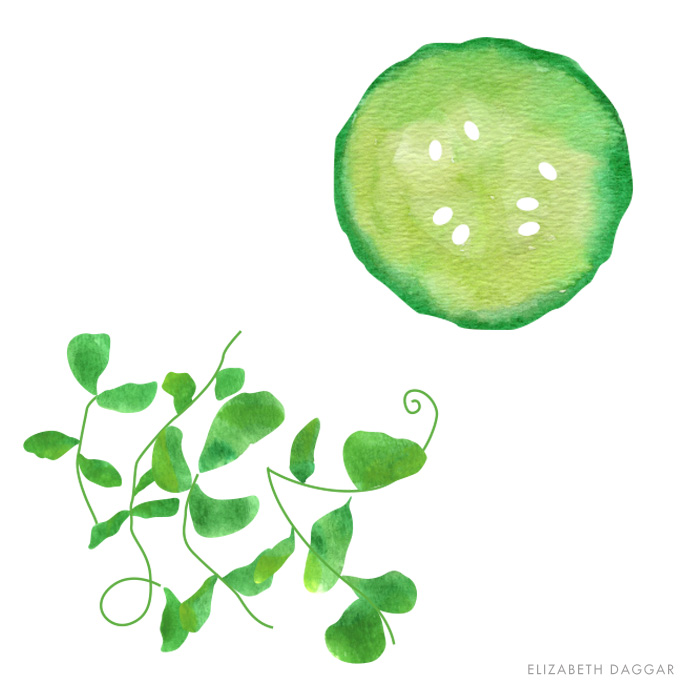 watercolor of a cuke slice and some watercress