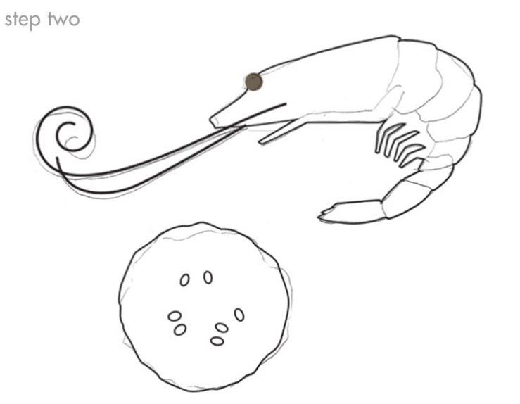 step two: scan and trace the pencil shapes in Illustrator