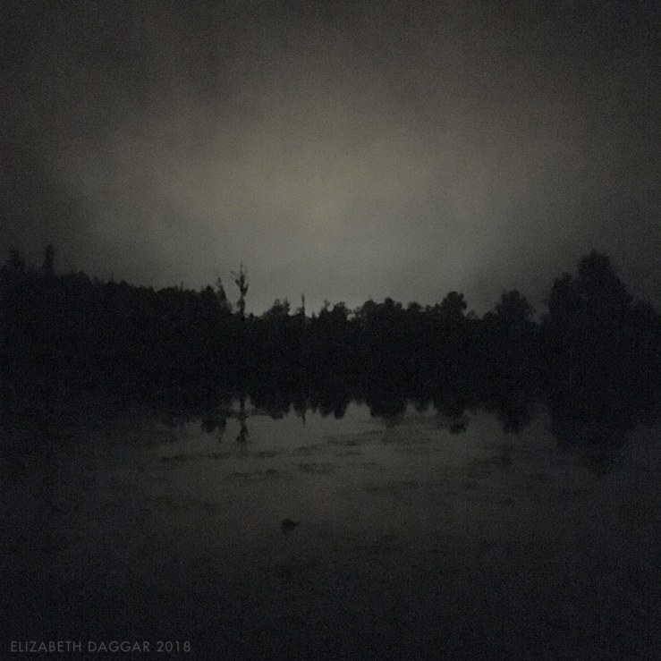 nighttime water lined with trees