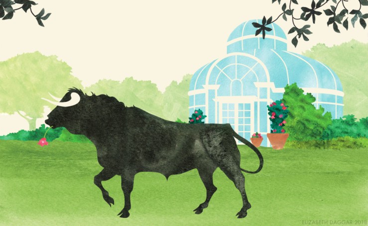 Watercolor illustration of Taurus at the Brooklyn Botanic Garden