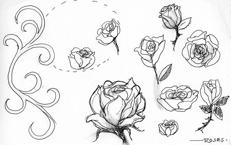 ink sketches of roses