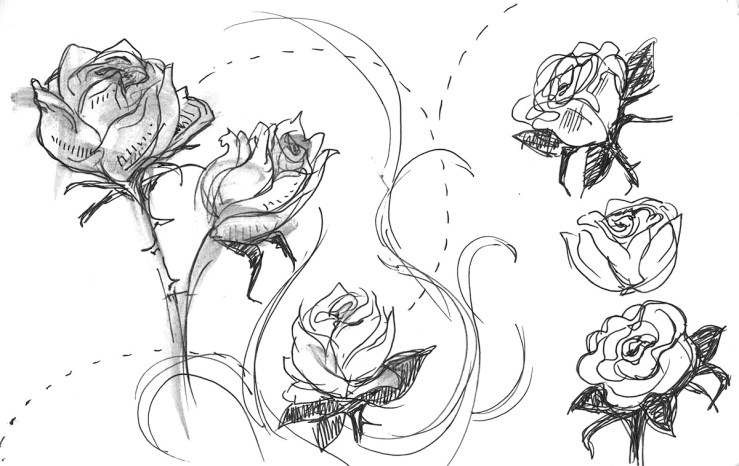 ink sketches of roses