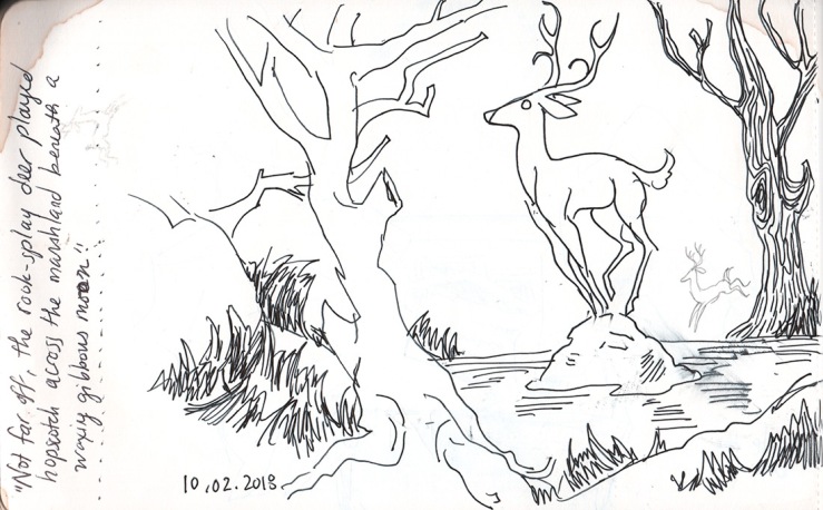 inktober: quick sketch of same deer