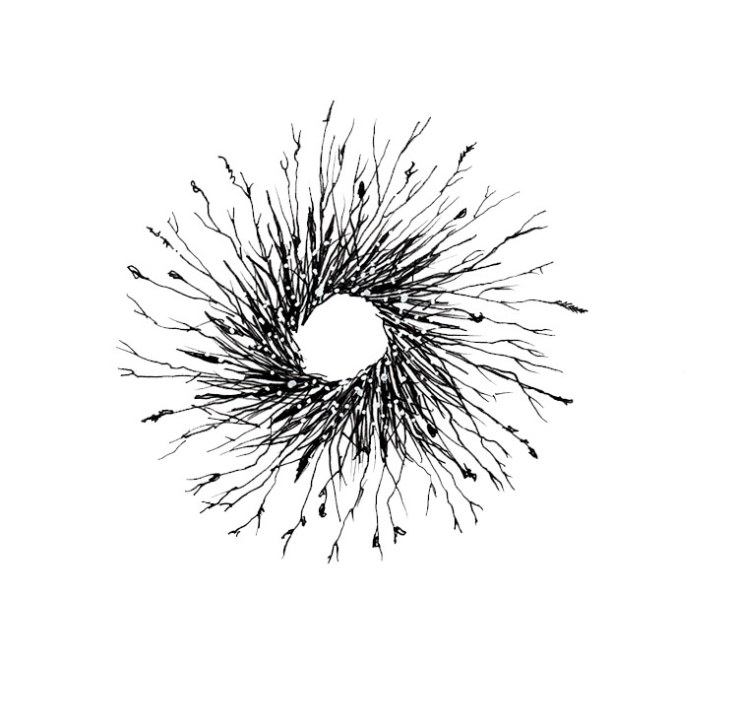 ink drawing of a wreath of twigs and weeds