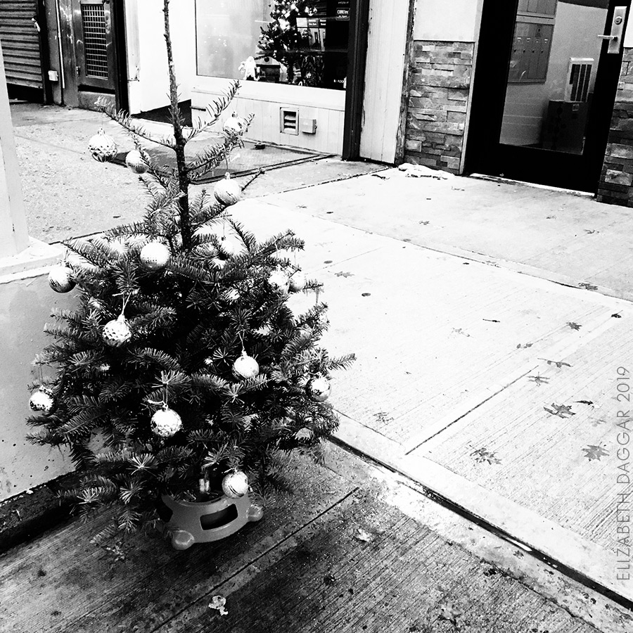 an abandoned sidewalk xmas tree— set out to the street before xmas fully dressed (b&w photo)